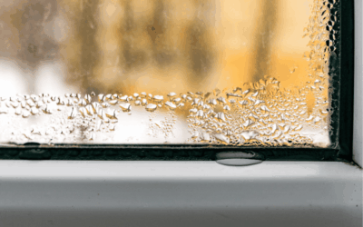 Condensation sur les fenêtres : pourquoi apparaît-elle et comment y remédier efficacement ?