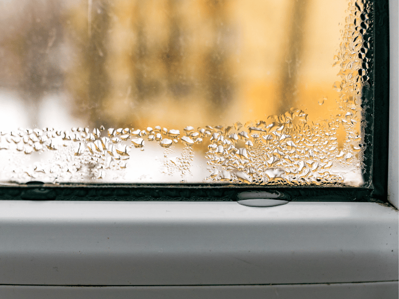 Châssis-Delhez-condensation-fenêtre